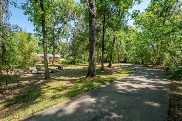view of community featuring a yard