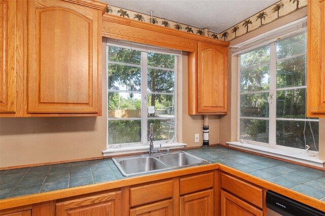 kitchen with a sink, plenty of natural light, and stainless steel dishwasher