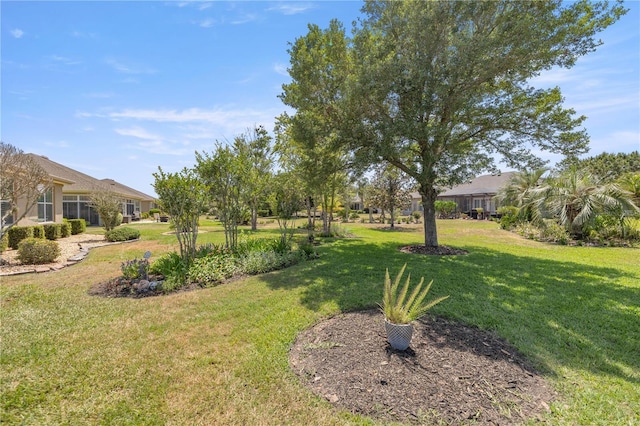 7274 SW 95th Ave, Ocala, FL 34481 - view of yard