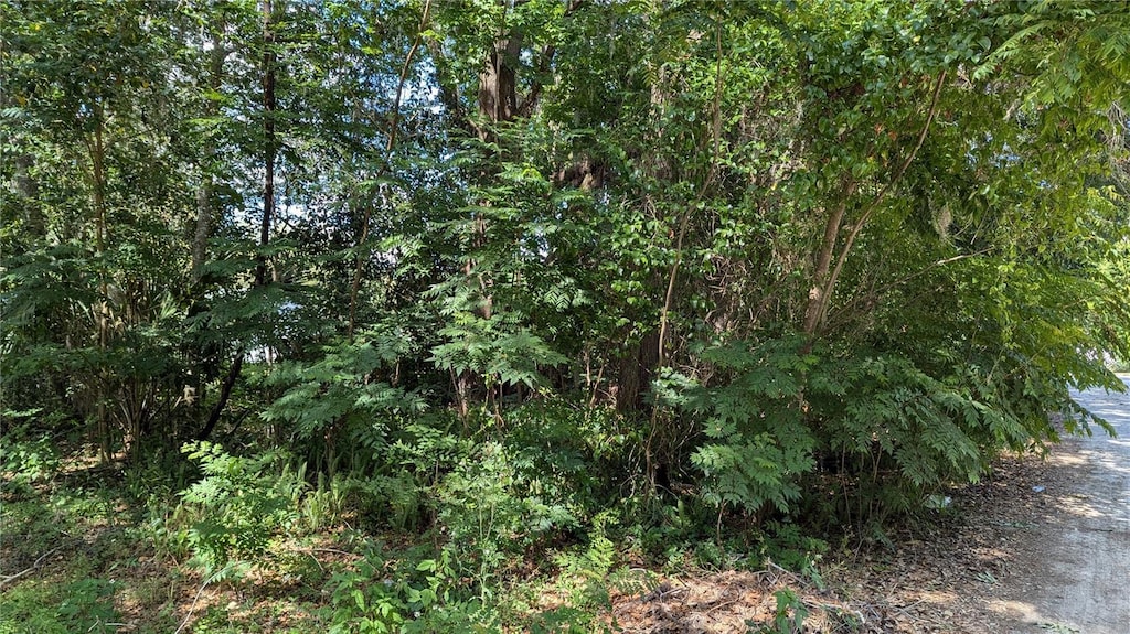 2602 NE 70th St, Gainesville, FL 32609