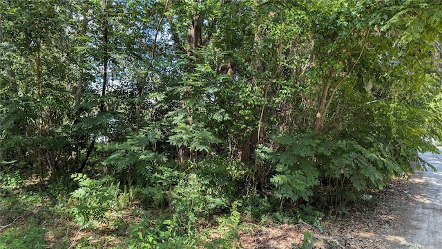 2602 NE 70th St, Gainesville, FL 32609