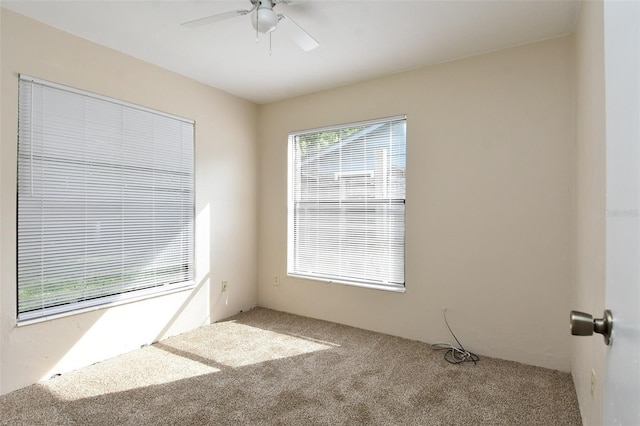 4629 SW 45th Ln, Gainesville, FL 32608 - photo 26