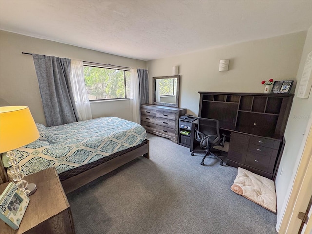 bedroom with carpet flooring
