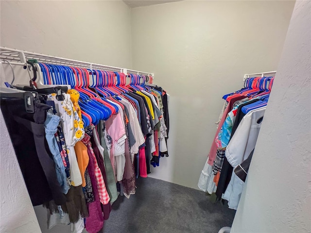 walk in closet with carpet