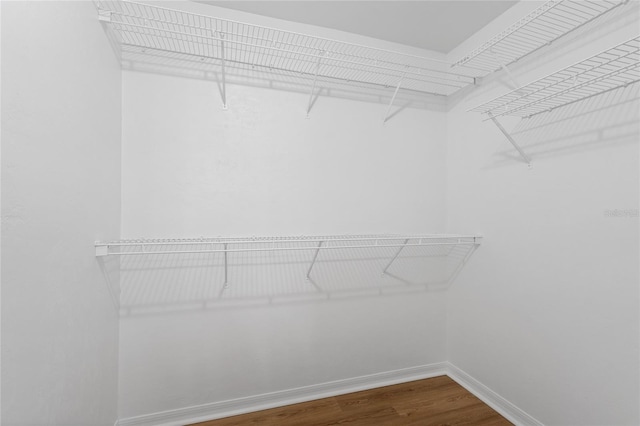 1017 NW 87th Way, Gainesville, FL 32606 - spacious closet with wood finished floors