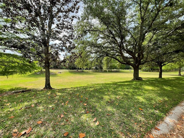 8815 SW 11th Ave, Gainesville, FL 32607 - view of yard