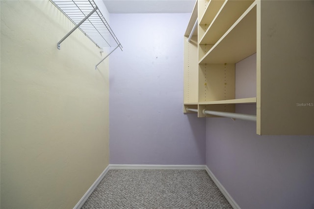6355 NW 106th Pl, Alachua, FL 32615 - walk in closet featuring carpet floors
