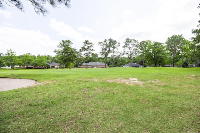 6355 NW 106th Pl, Alachua, FL 32615 - view of yard