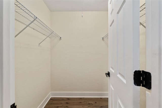 1612 NW 19th Cir, Gainesville, FL 32605 - spacious closet featuring wood finished floors