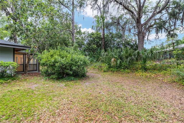1612 NW 19th Cir, Gainesville, FL 32605 - view of yard