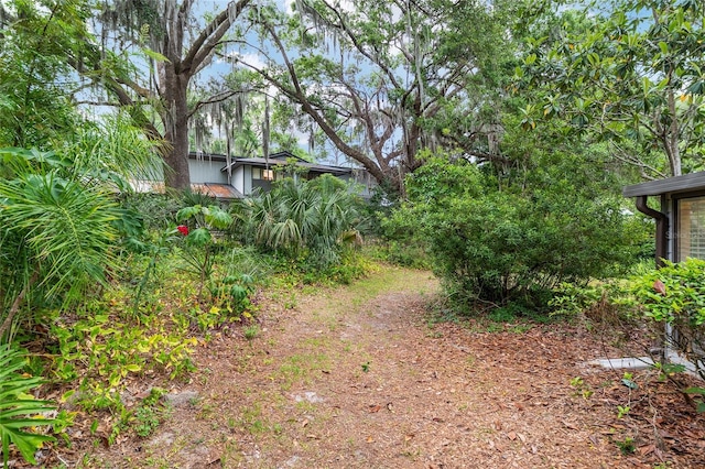 1612 NW 19th Cir, Gainesville, FL 32605 - view of yard