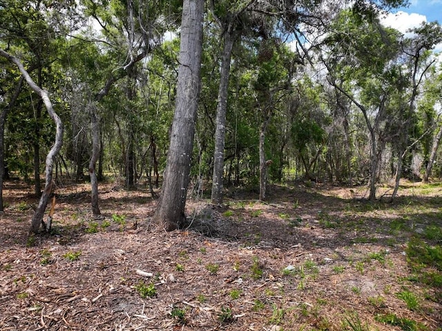 0000 NE 390th St, Old Town, FL 32680 - photo 2