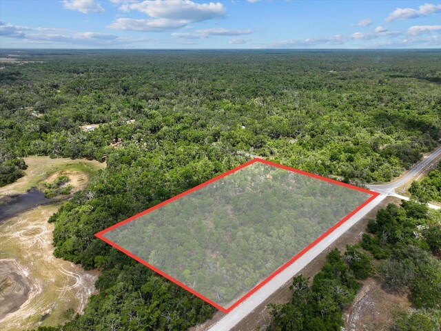 0000 NE 390th St, Old Town, FL 32680 - photo 3