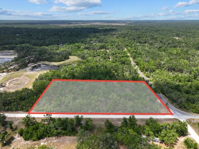 0000 NE 390th St, Old Town, FL 32680 - photo 4