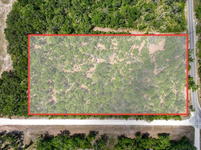 0000 NE 390th St, Old Town, FL 32680 - photo 5