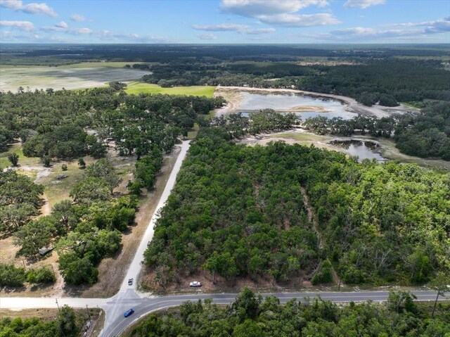0000 NE 390th St, Old Town, FL 32680 - photo 8