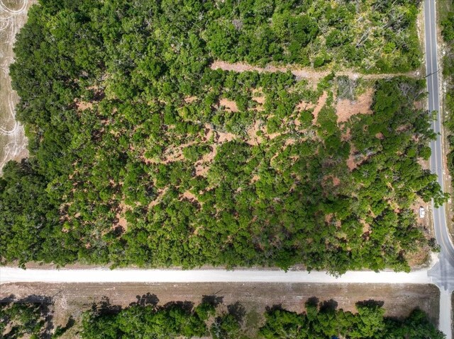 0000 NE 390th St, Old Town, FL 32680 - photo 10