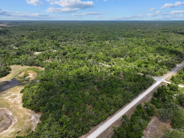 0000 NE 390th St, Old Town, FL 32680 - photo 14