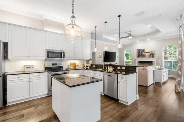 kitchen featuring a sink, a peninsula, open floor plan, a ceiling fan, and appliances with stainless steel finishes
