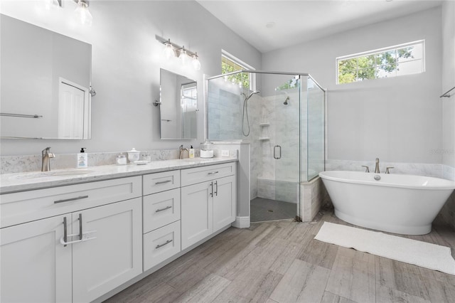 full bathroom featuring plenty of natural light, a sink, double vanity, and a shower stall