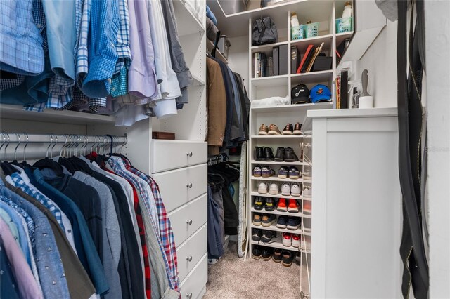 walk in closet with carpet floors