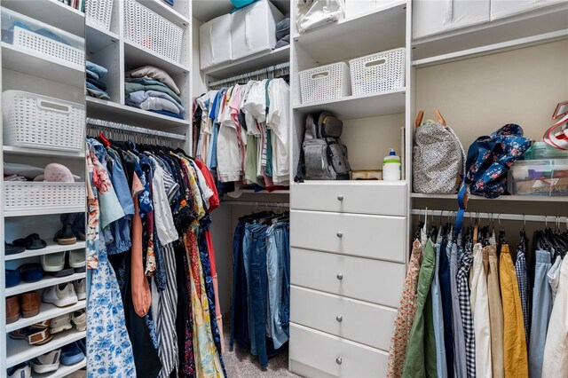 view of spacious closet