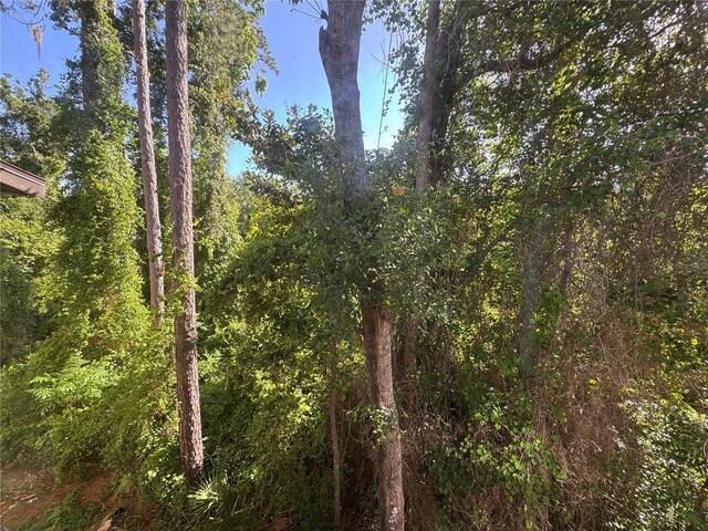 view of landscape featuring a forest view