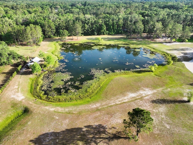259 SW Paces Gln, Lake City, FL 32024