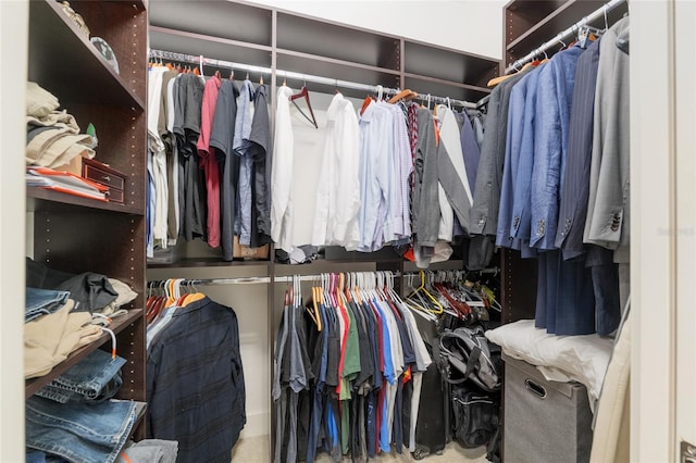 view of walk in closet