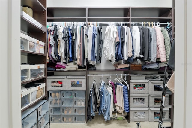 view of closet