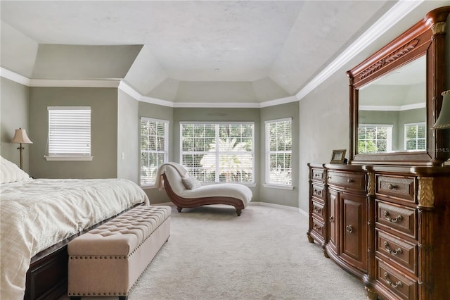 4515 SW 97th Ter, Gainesville, FL 32608 - bedroom featuring light carpet, a tray ceiling, baseboards, and ornamental molding