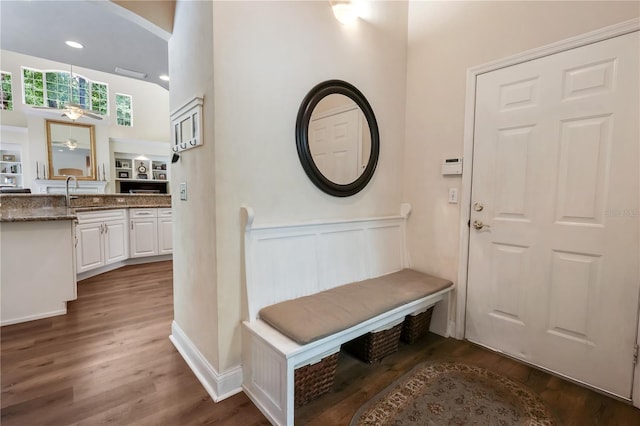4515 SW 97th Ter, Gainesville, FL 32608 - mudroom with dark wood-type flooring, a sink, ceiling fan, and recessed lighting