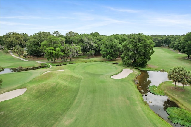 4515 SW 97th Ter, Gainesville, FL 32608 - surrounding community featuring view of scattered trees, a water view, view of golf course, and a putting area
