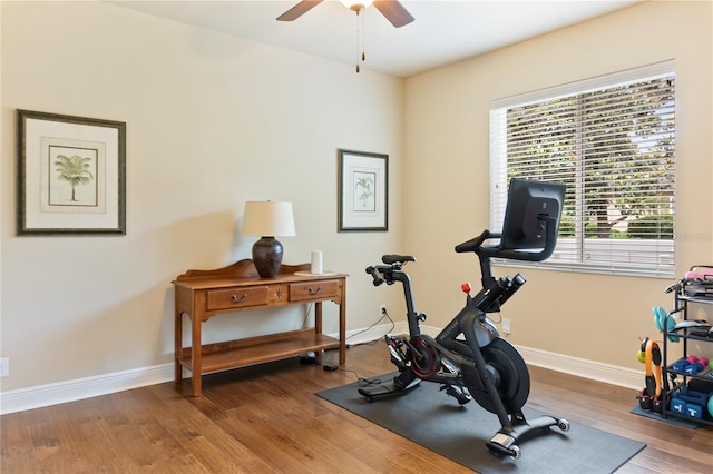 workout room with wood finished floors, a ceiling fan, and baseboards