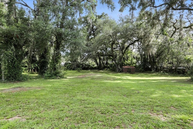 7800 SW 24th Ave, Gainesville, FL 32607 - view of green lawn