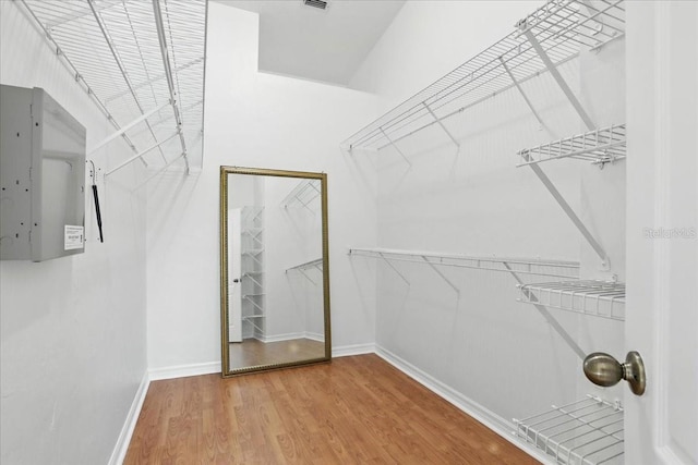 7800 SW 24th Ave, Gainesville, FL 32607 - walk in closet featuring wood finished floors and electric panel