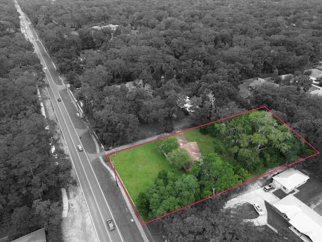 7800 SW 24th Ave, Gainesville, FL 32607 - aerial view of property and surrounding area with a forest and property parcel outlined
