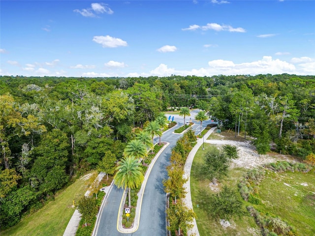 6613 SW 95th St, Gainesville, FL 32608 - view of property location with a forest