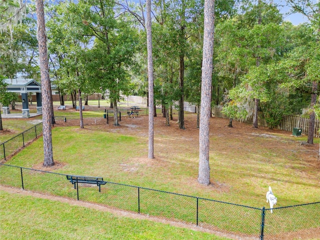 6613 SW 95th St, Gainesville, FL 32608 - view of yard