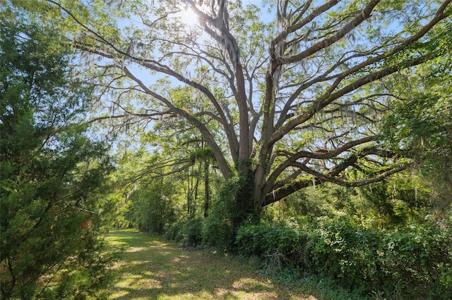 exterior space with a forest view
