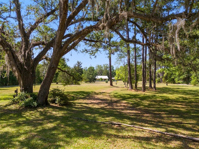 surrounding community featuring a lawn