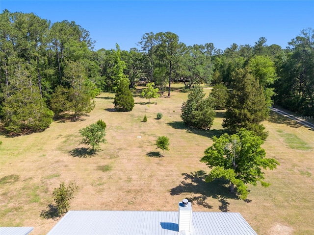 view of local wilderness