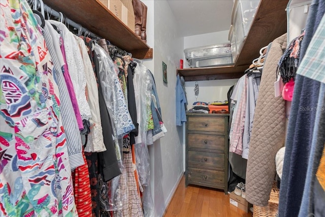 spacious closet featuring light wood finished floors