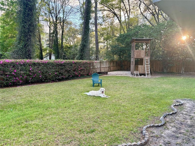 view of yard featuring a fenced backyard and a playground