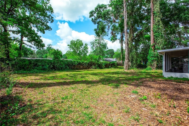 view of yard featuring a sunroom