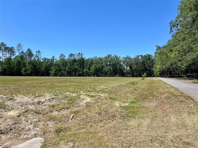 18793 NW 76th Ave, Alachua, FL 32615