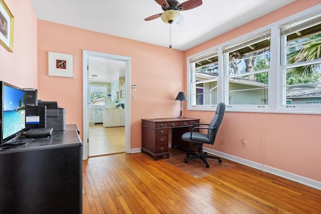 office featuring baseboards, a ceiling fan, and light wood-style flooring