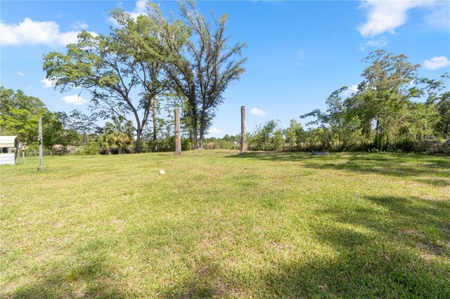 1529 NW 143rd St, Gainesville, FL 32606 - view of grassy yard