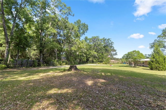 1529 NW 143rd St, Gainesville, FL 32606 - view of yard