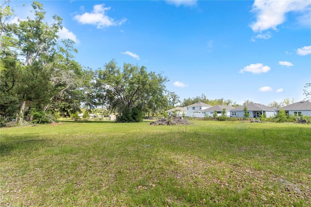 1529 NW 143rd St, Gainesville, FL 32606 - view of yard featuring a residential view